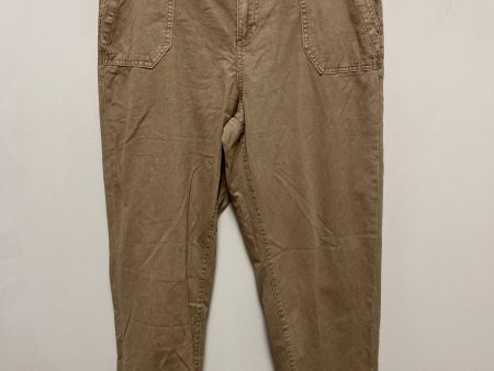 Pants Cargo & Utility By Clothes Mentor In Brown, Size: 12 Online Sale