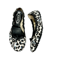 Shoes Luxury Designer By Tods In Leopard Print, Size: 6 Discount