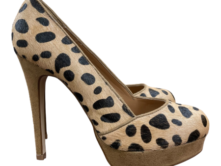 Animal Print Shoes Heels Stiletto By Chinese Laundry, Size: 6.5 Online now