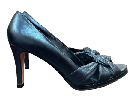 Shoes Heels Stiletto By Antonio Melani In Blue, Size: 8.5 For Sale